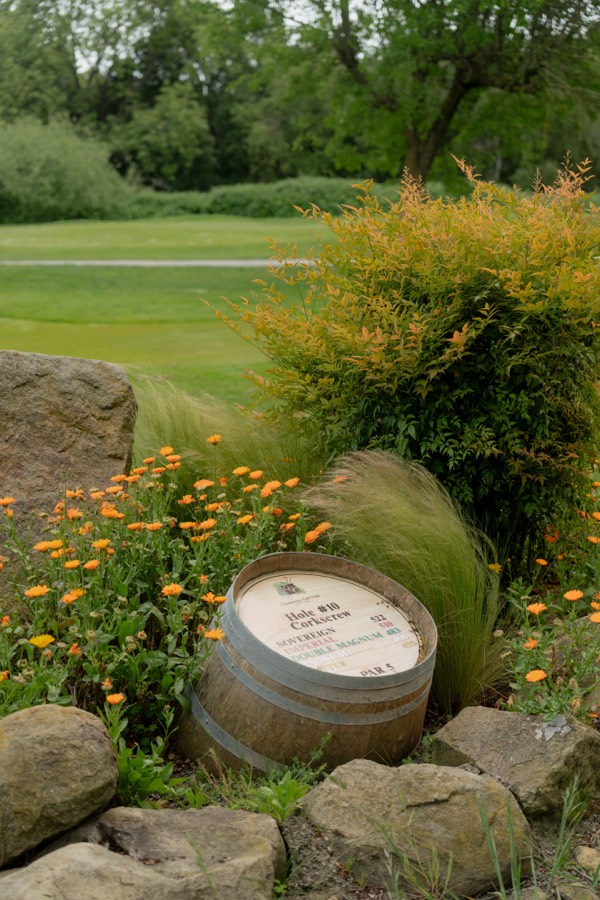 Bunker framed by wildflowers