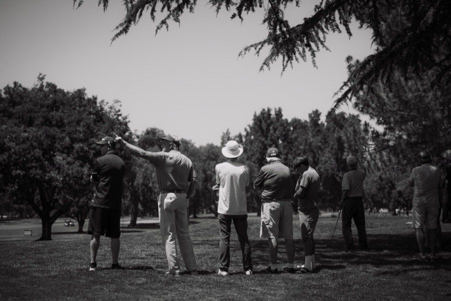 Black and white photo of members watching play from under the trees