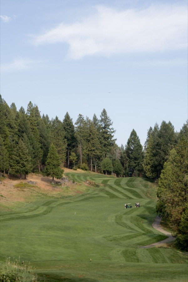 Striped fairway climbing through tall pines