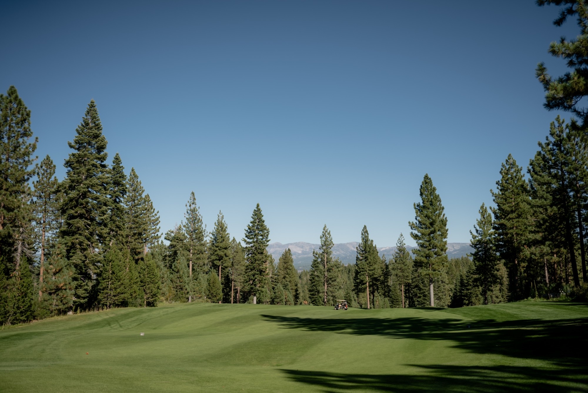 Pine-lined fairway with mountains beyond