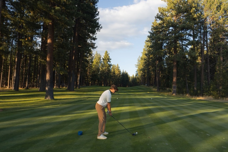 Golfer addressing a drive on a pine-lined tee box